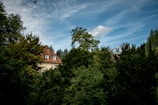 A residential house with a red-tiled roof is surrounded by dense green trees under a blue sky with scattered clouds. A bird is flying in the upper part of the sky.