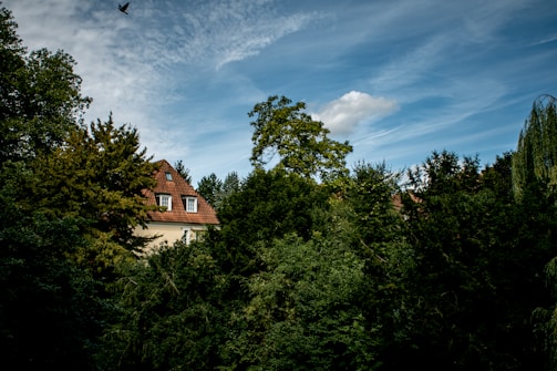 A residential house with a red-tiled roof is surrounded by dense green trees under a blue sky with scattered clouds. A bird is flying in the upper part of the sky.