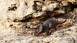 A dinosaur toy positioned in a rocky terrain. The background consists of textured, light brown rocks that appear jagged and weathered.
