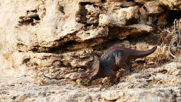 A dinosaur toy positioned in a rocky terrain. The background consists of textured, light brown rocks that appear jagged and weathered.