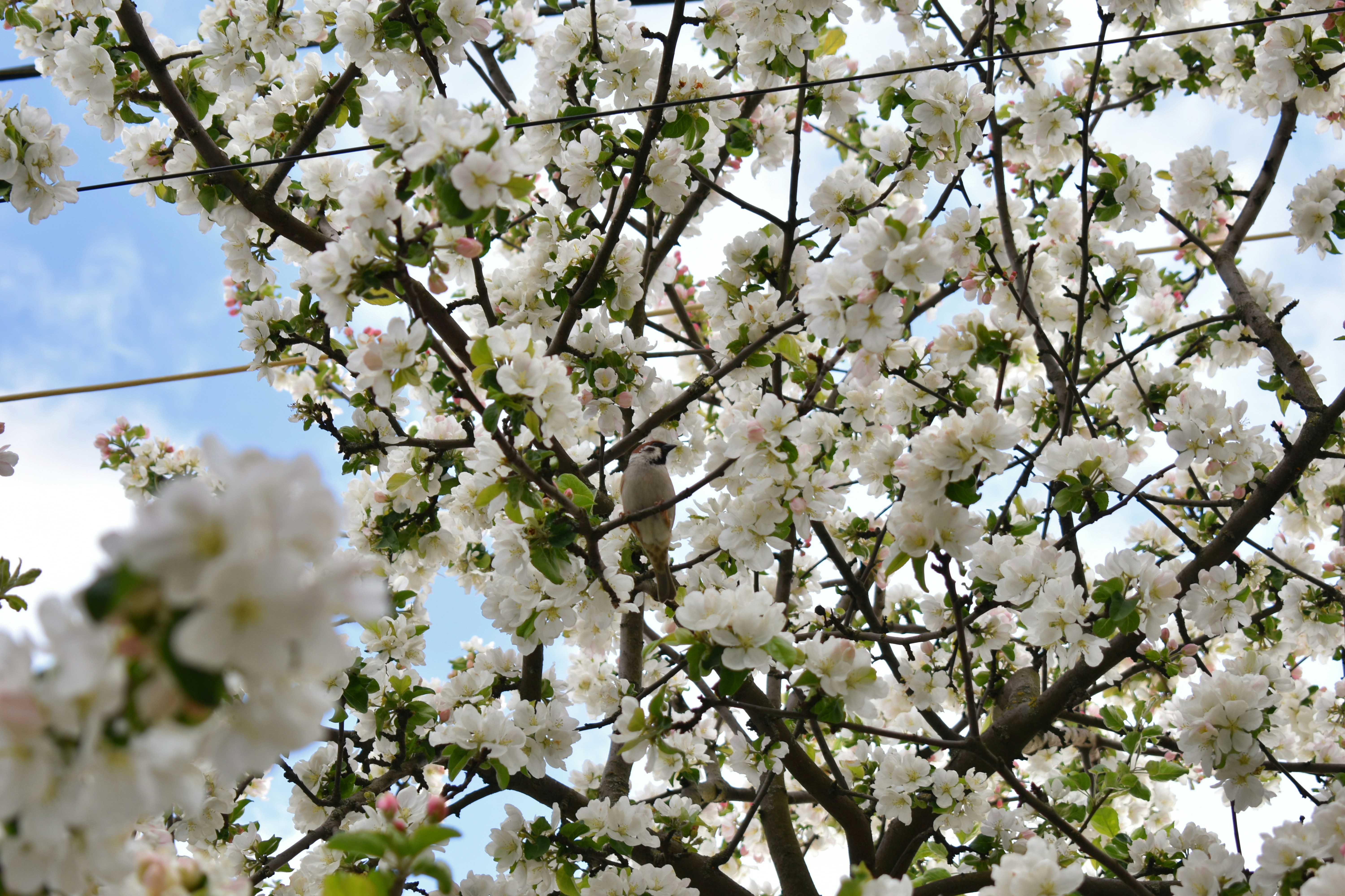 Photo by polina_grishma