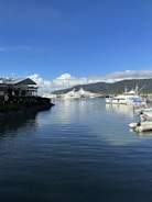A tranquil marina scene featuring several luxurious yachts docked at a marina with a backdrop of lush, tree-covered hills. A residential or commercial building with a modern design is on the left side, and the water's surface reflects the clear blue sky above.