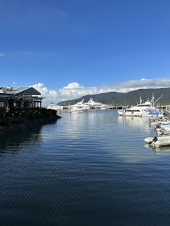 A tranquil marina scene featuring several luxurious yachts docked at a marina with a backdrop of lush, tree-covered hills. A residential or commercial building with a modern design is on the left side, and the water's surface reflects the clear blue sky above.