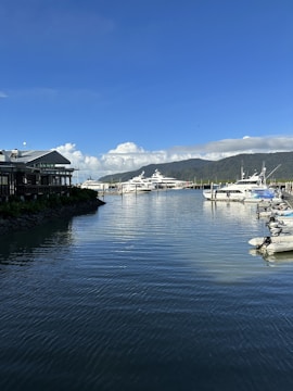 A tranquil marina scene featuring several luxurious yachts docked at a marina with a backdrop of lush, tree-covered hills. A residential or commercial building with a modern design is on the left side, and the water's surface reflects the clear blue sky above.