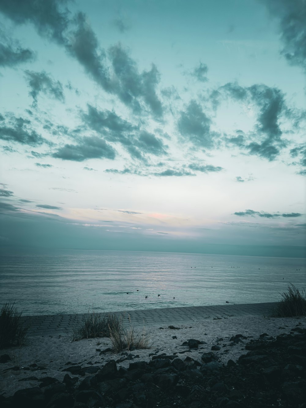 Blick auf ein Gewässer von einem Strand aus