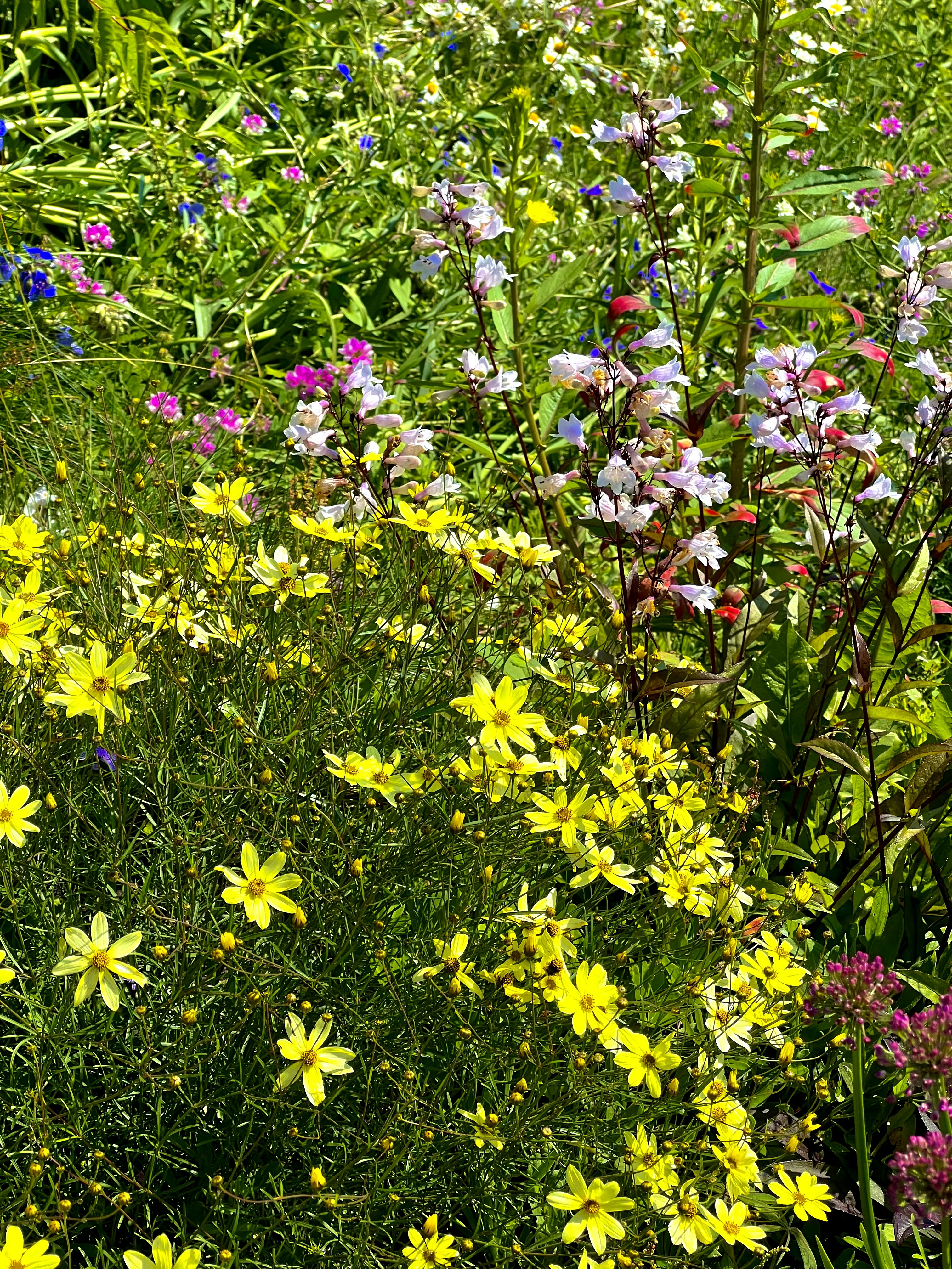 Photo by mike_loftus