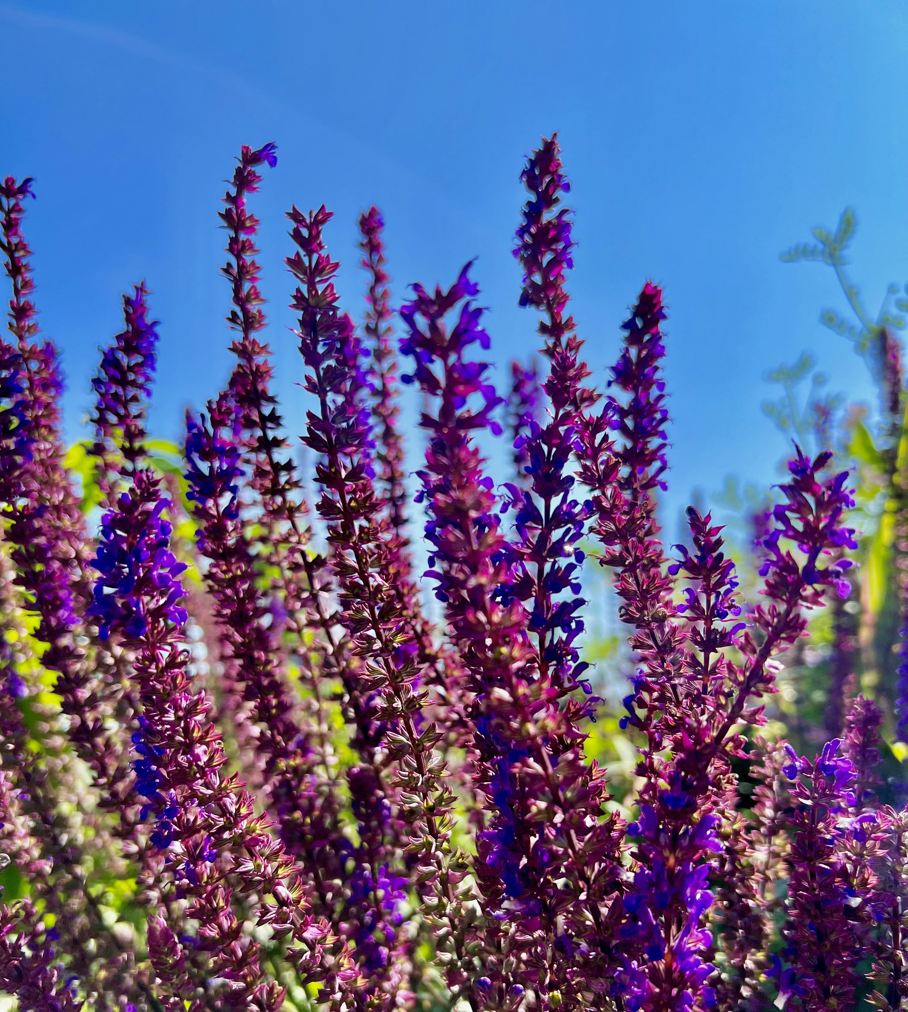 Photo by mike_loftus