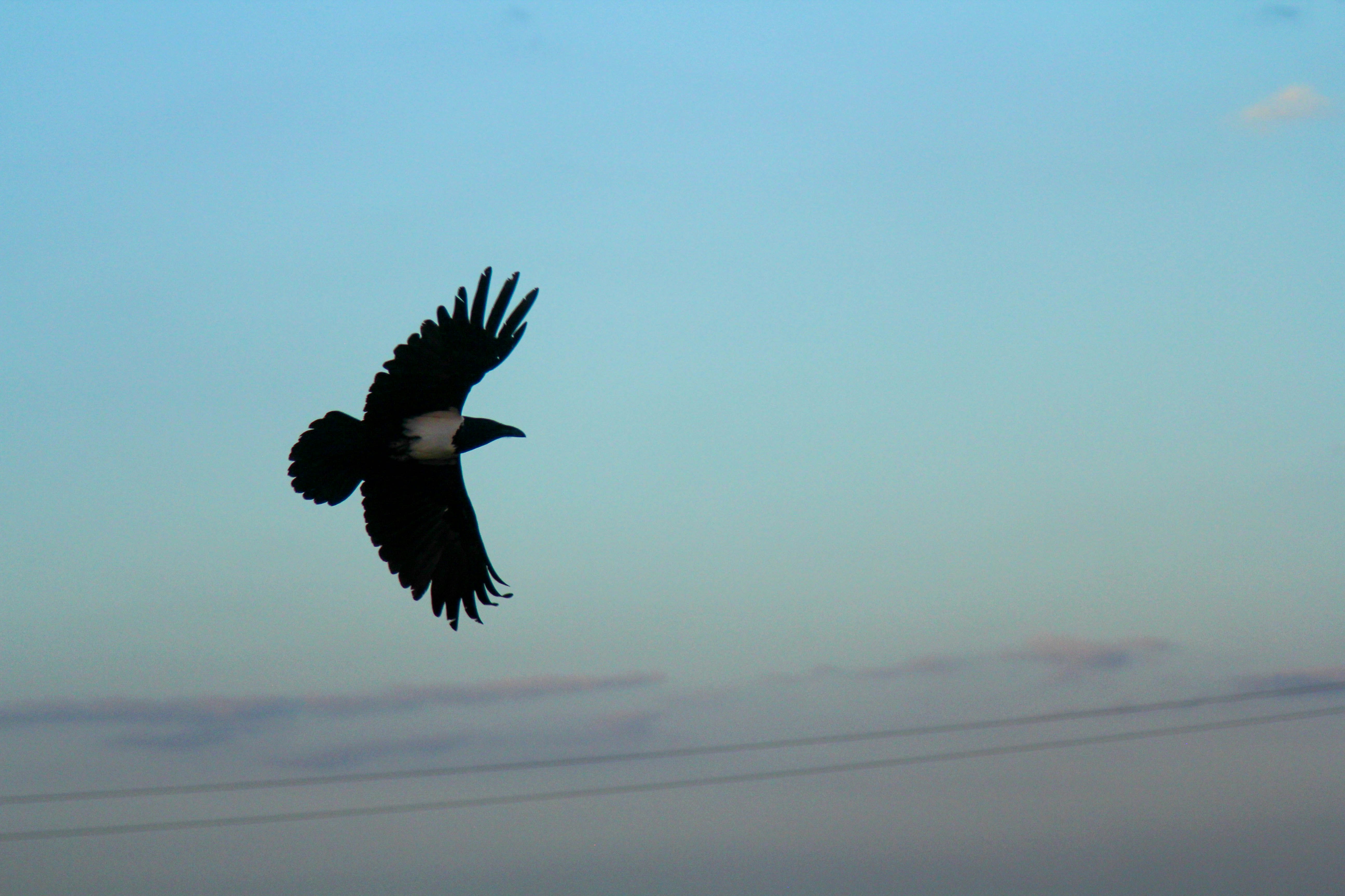 Photo by nemmanuelw