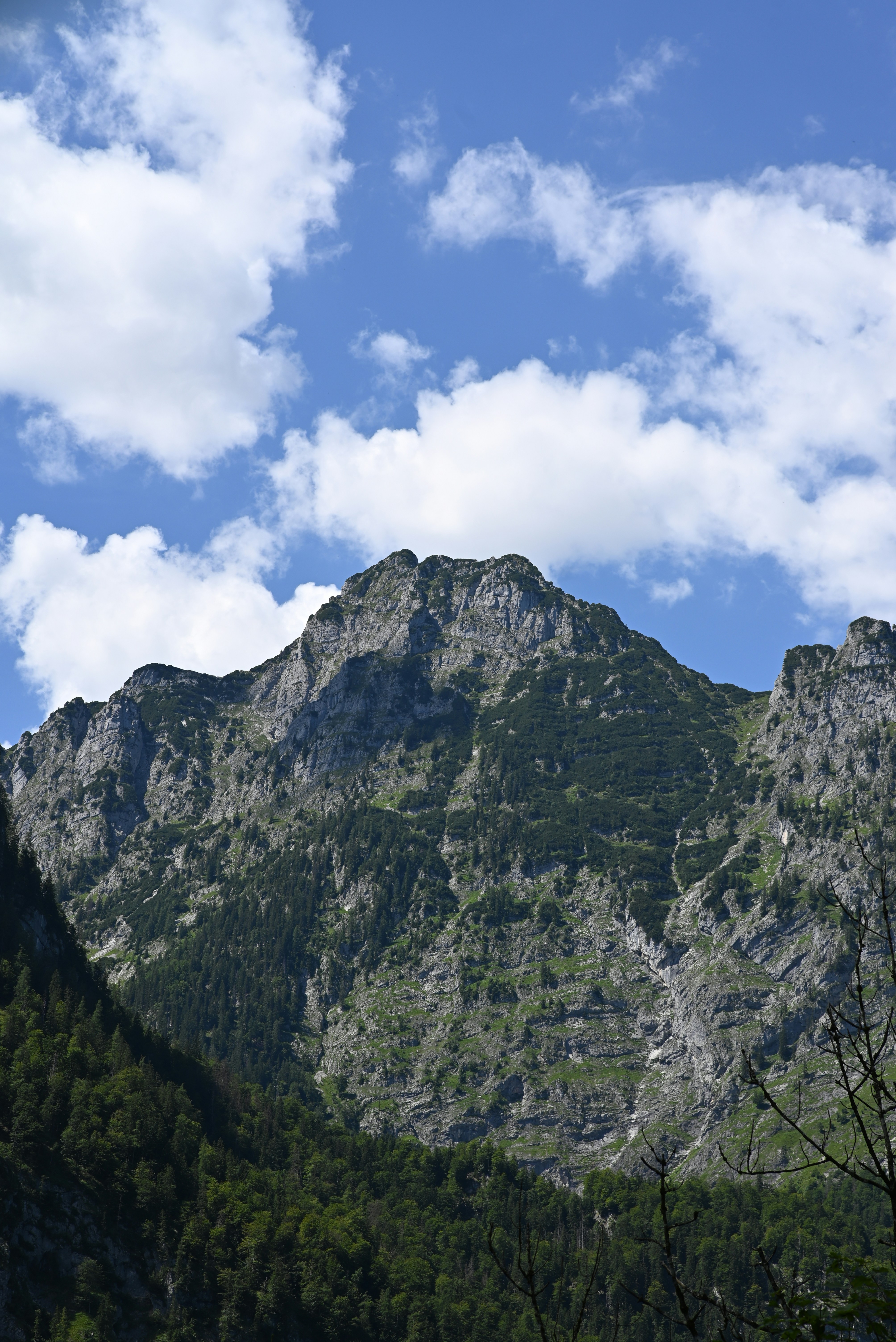 Photo by mortezakhalili