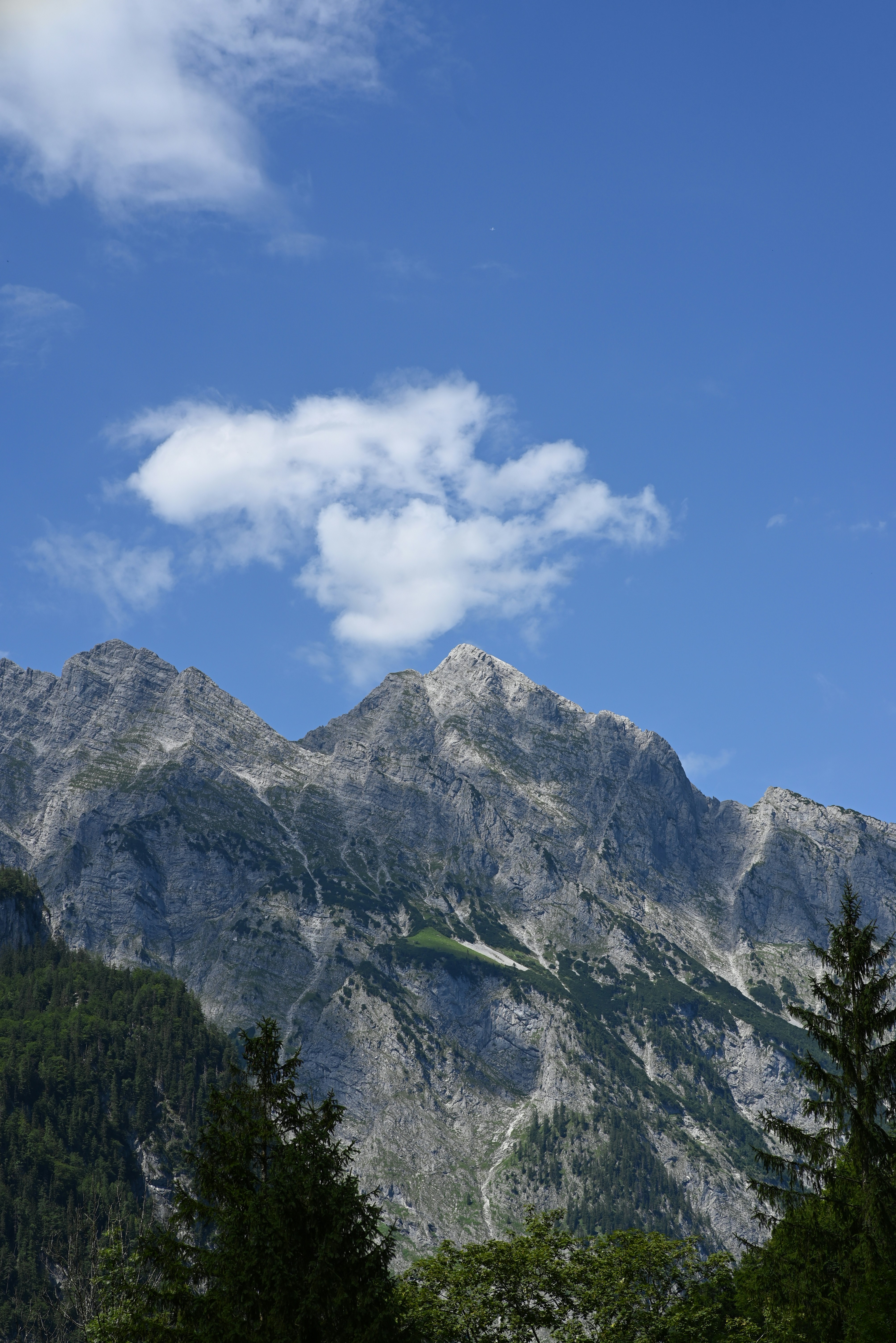 Photo by mortezakhalili