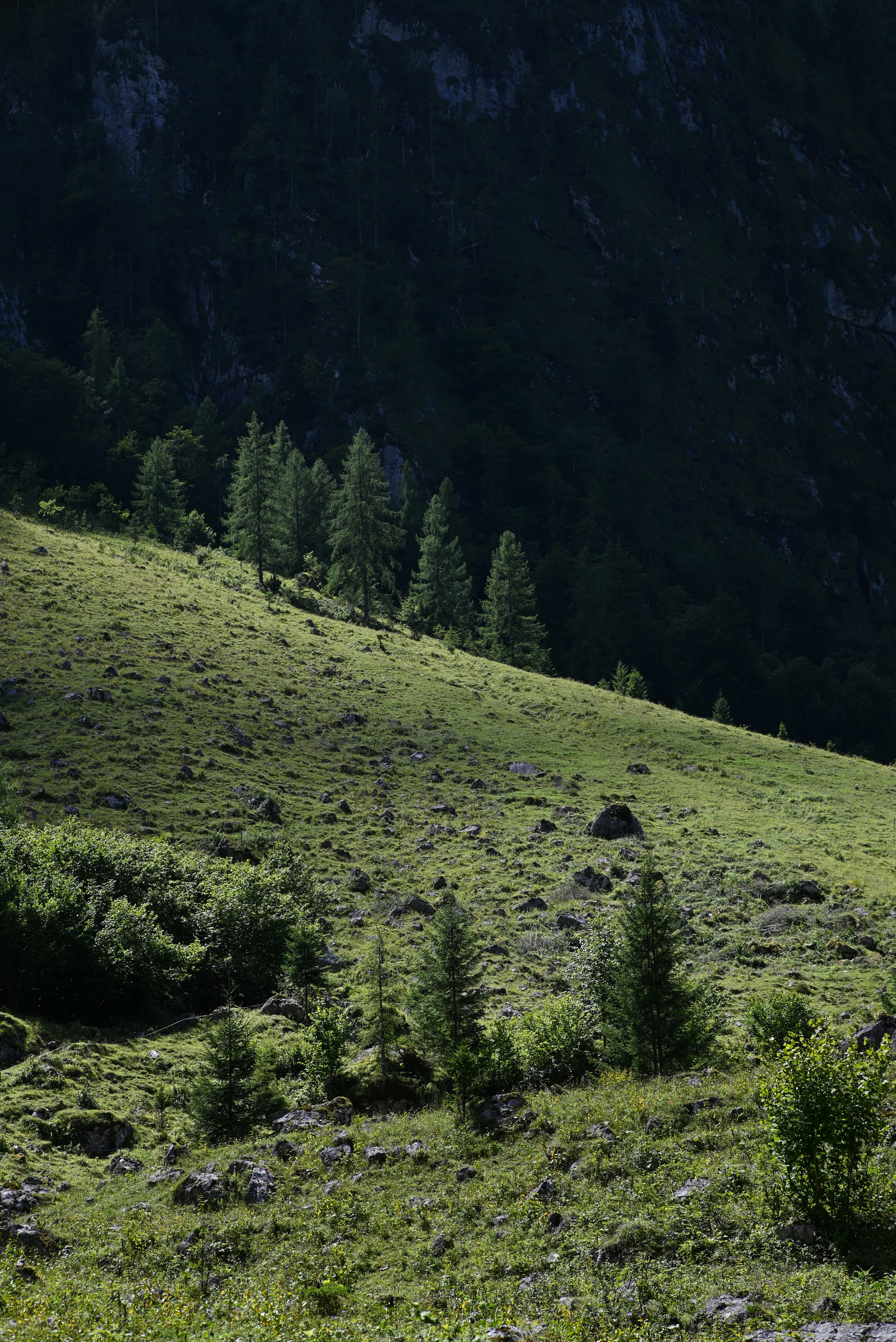 Photo by mortezakhalili