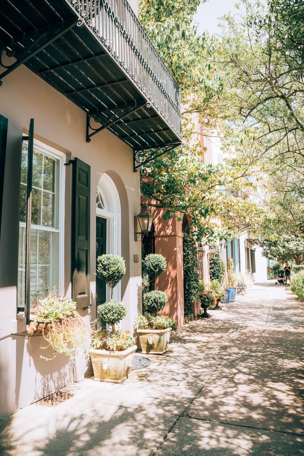 a row of potted plants on the side of a building