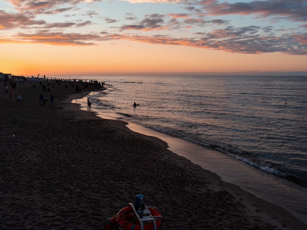 a group of people standing on top of a beach next to the ocean