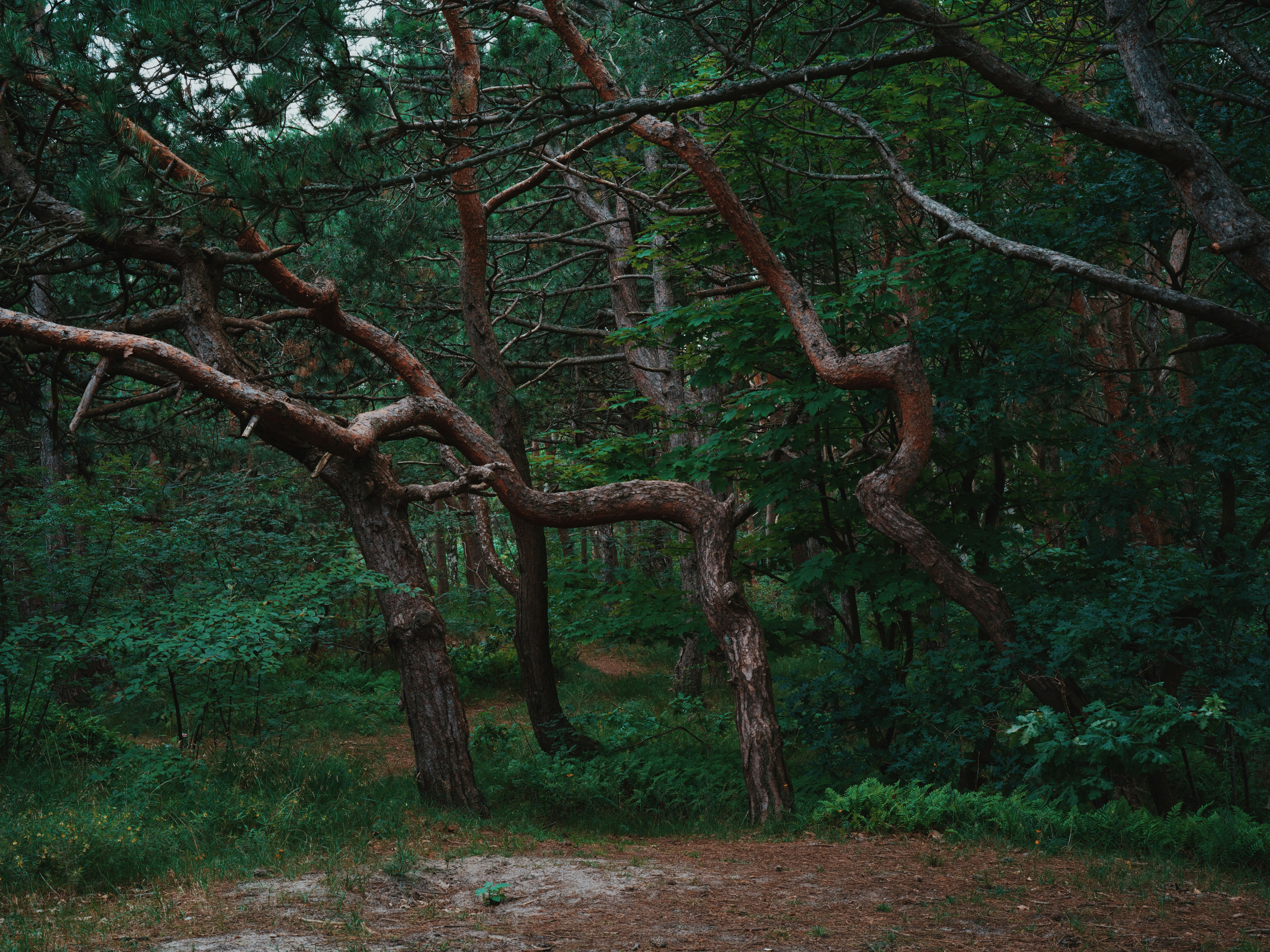 Photo by egorkomarov