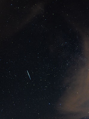 Photo capturing the Leonids meteor shower streaking across a dark night sky