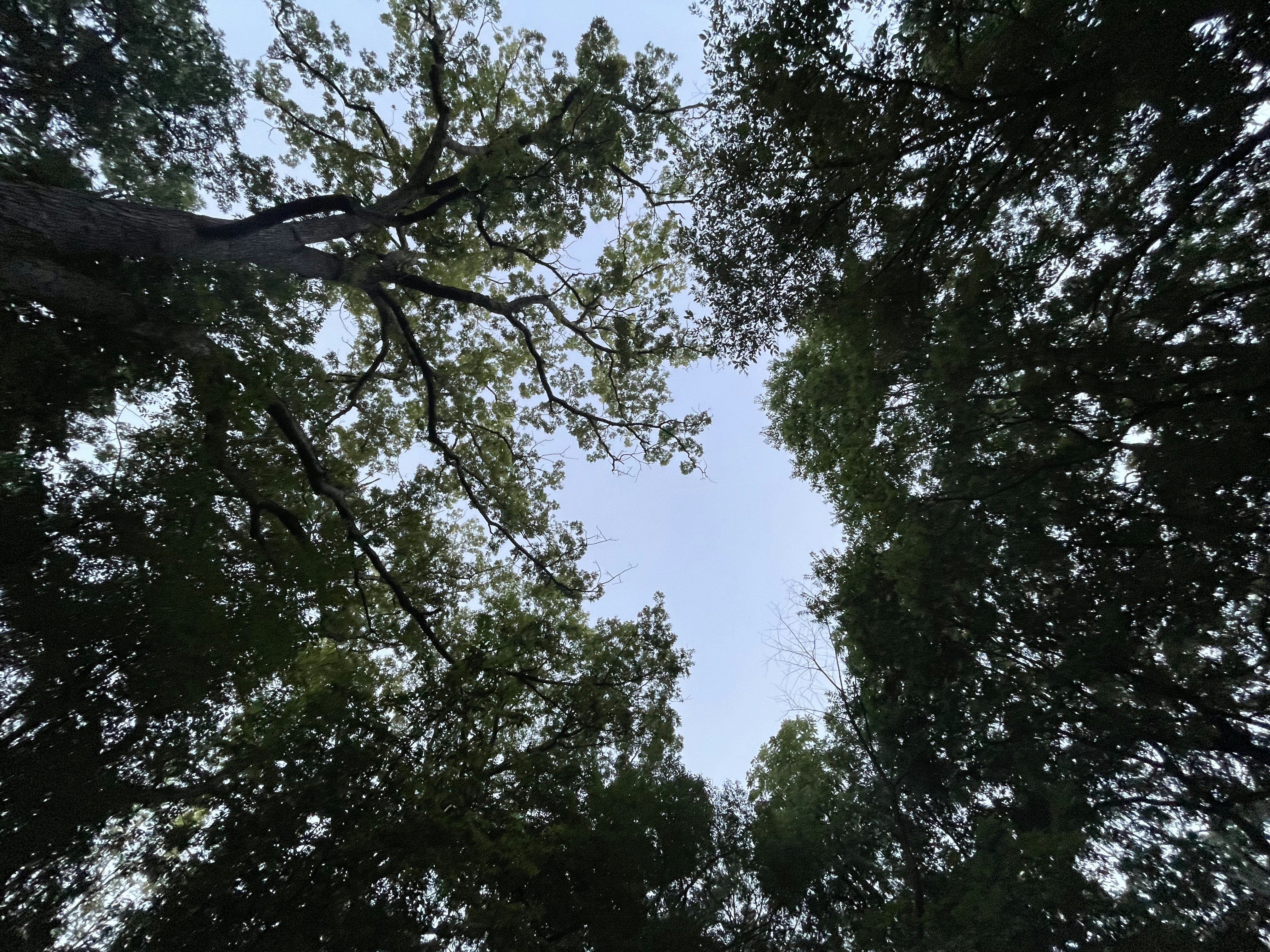 Photo by mrphotography22