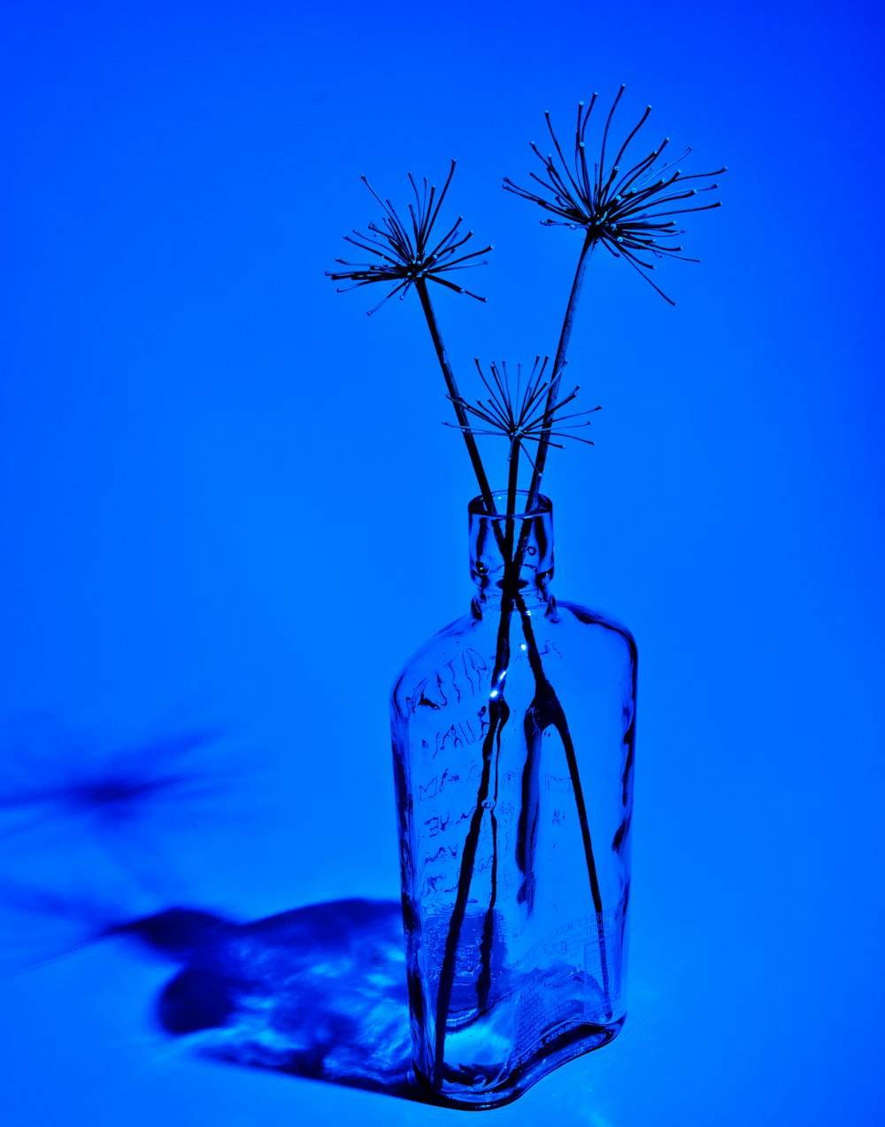 a glass vase with some flowers in it