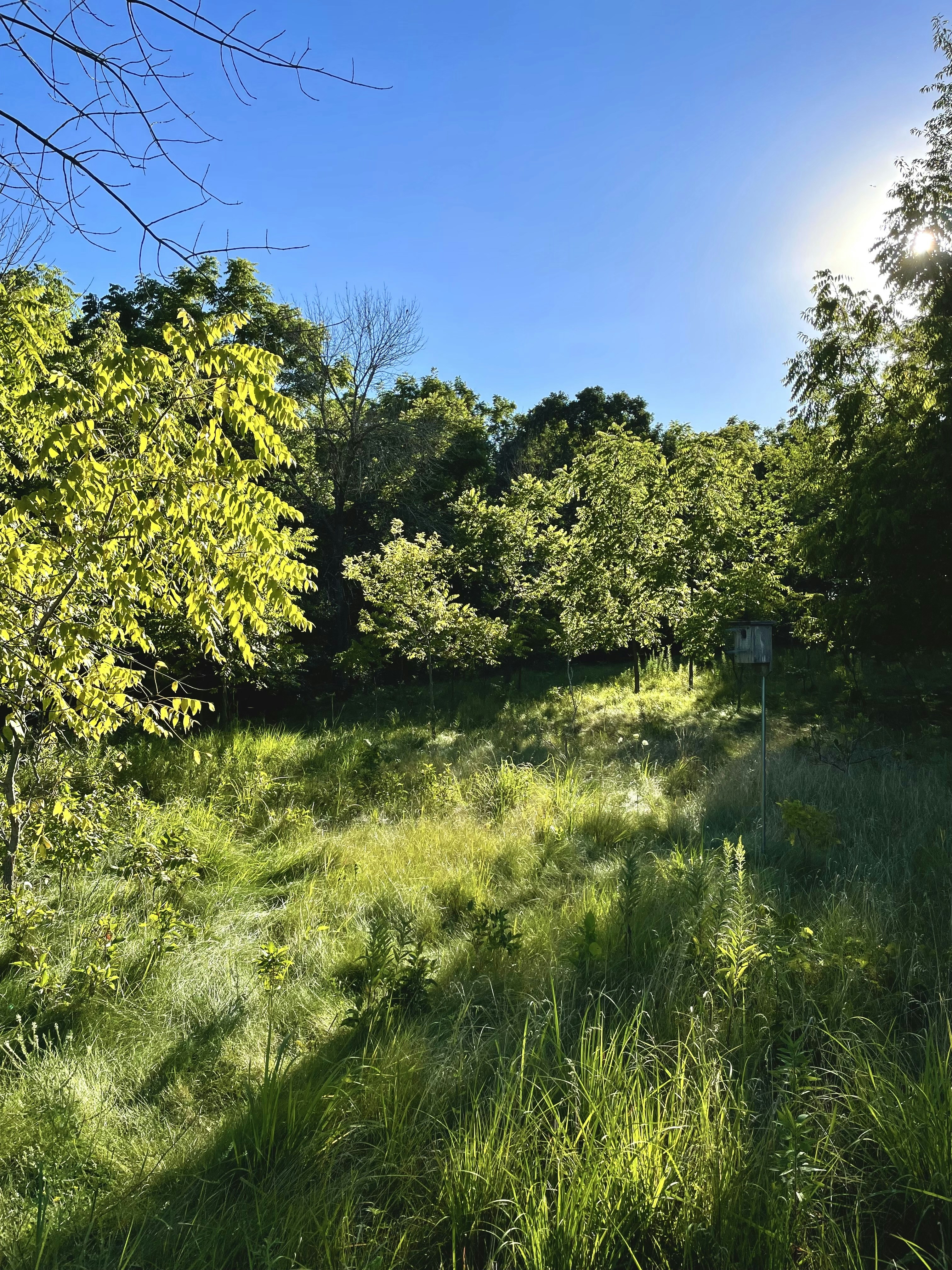 Photo by mrphotography22