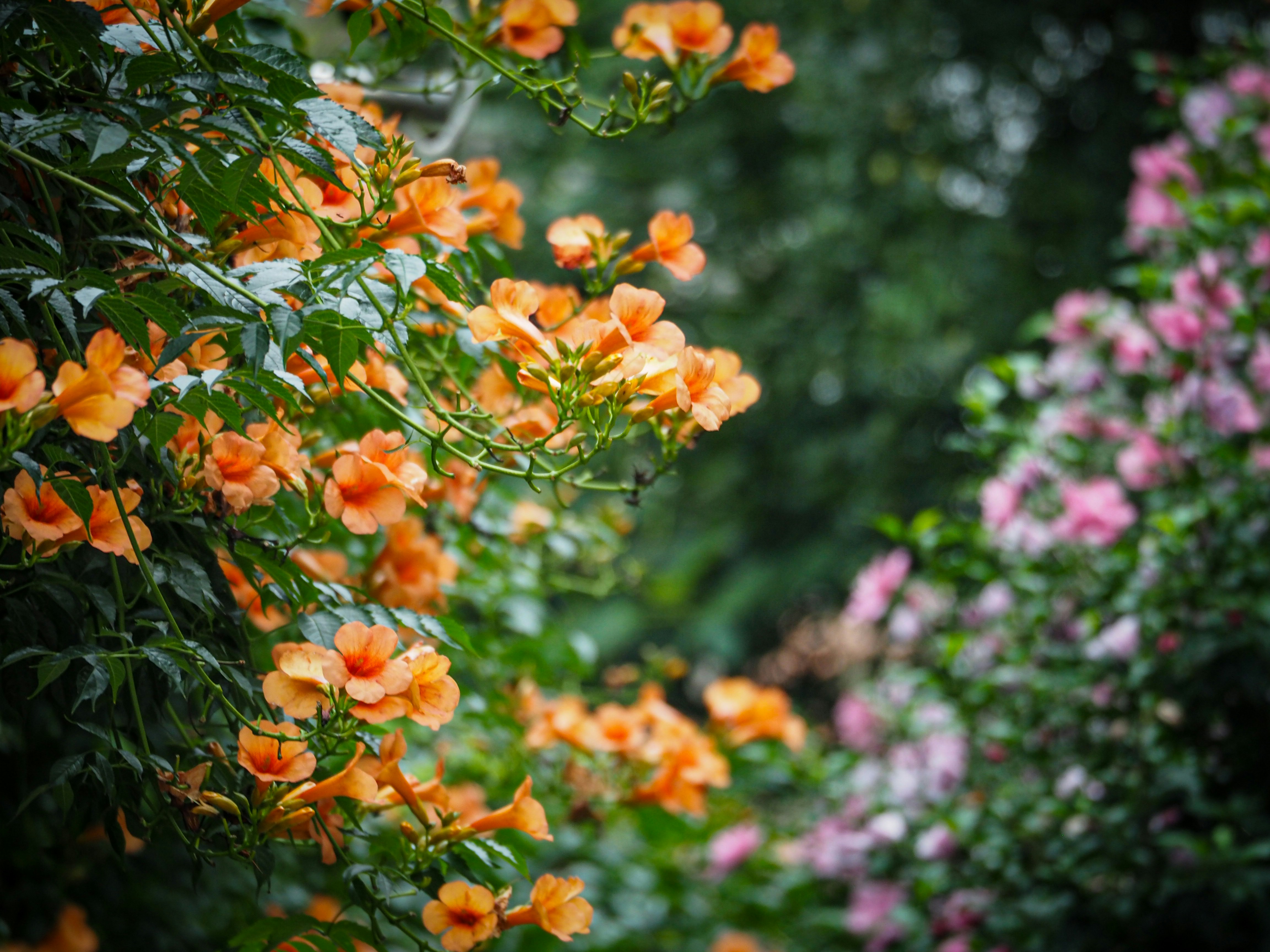 Photo by teresawang