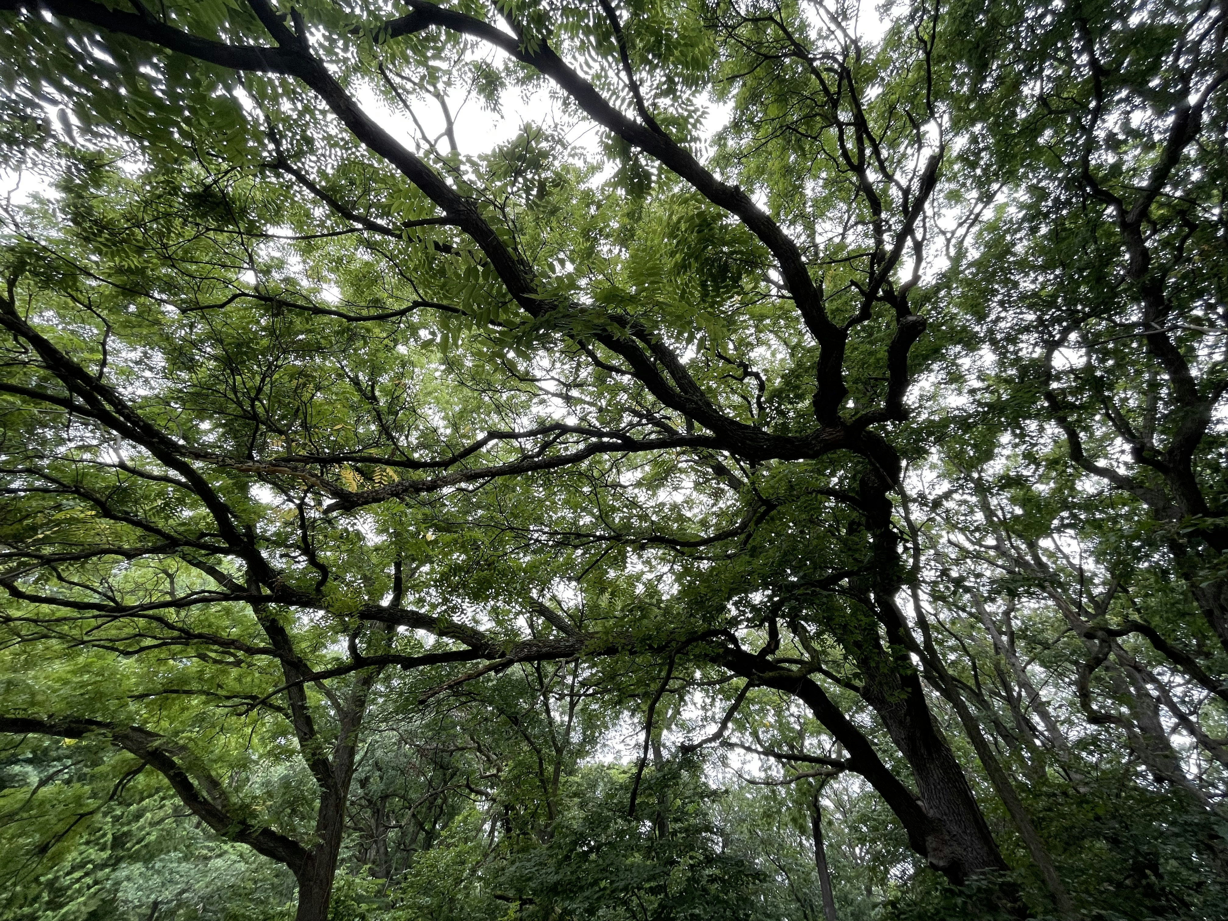 Photo by mrphotography22