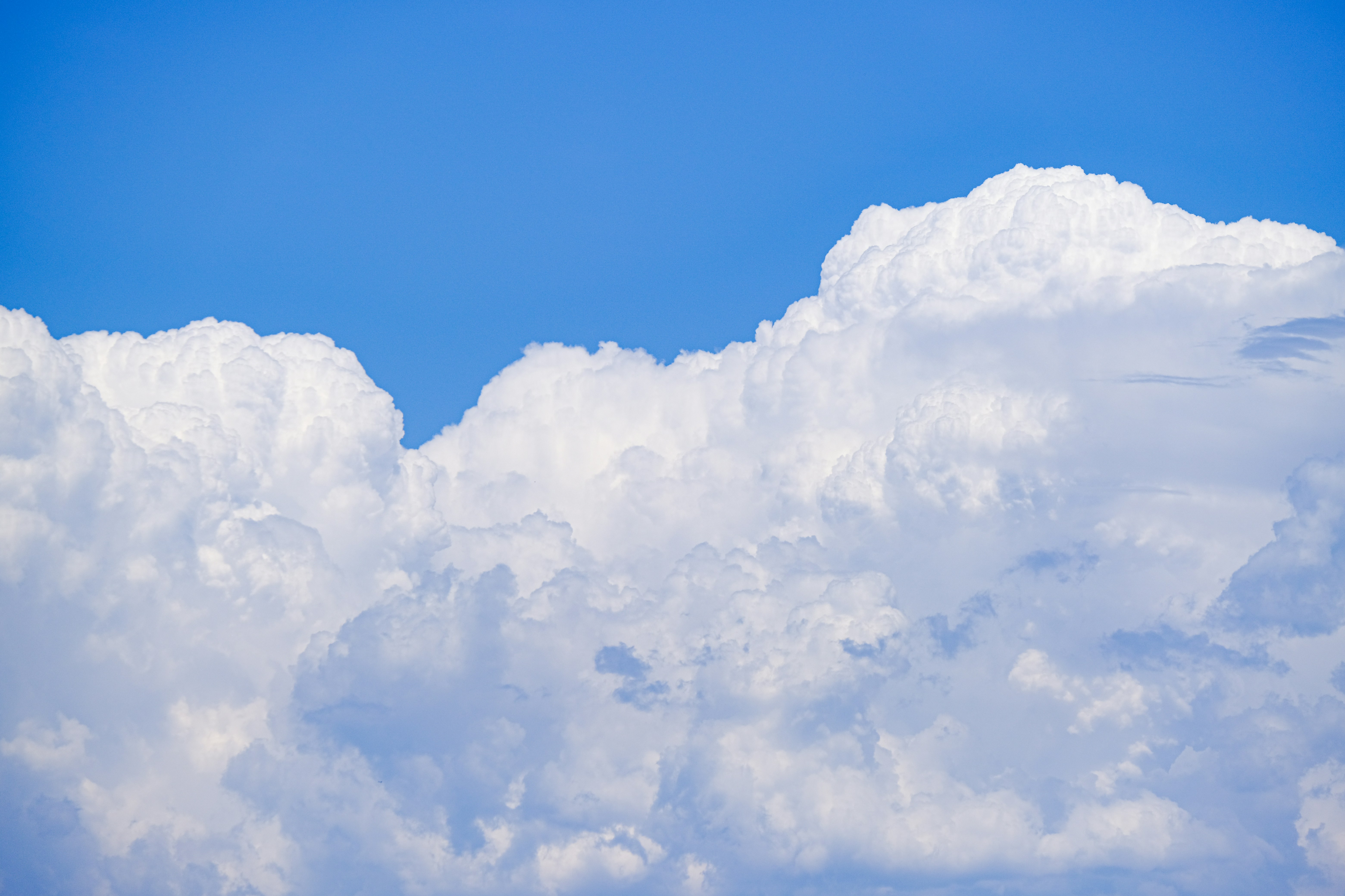 Photo by cestmoisheedy