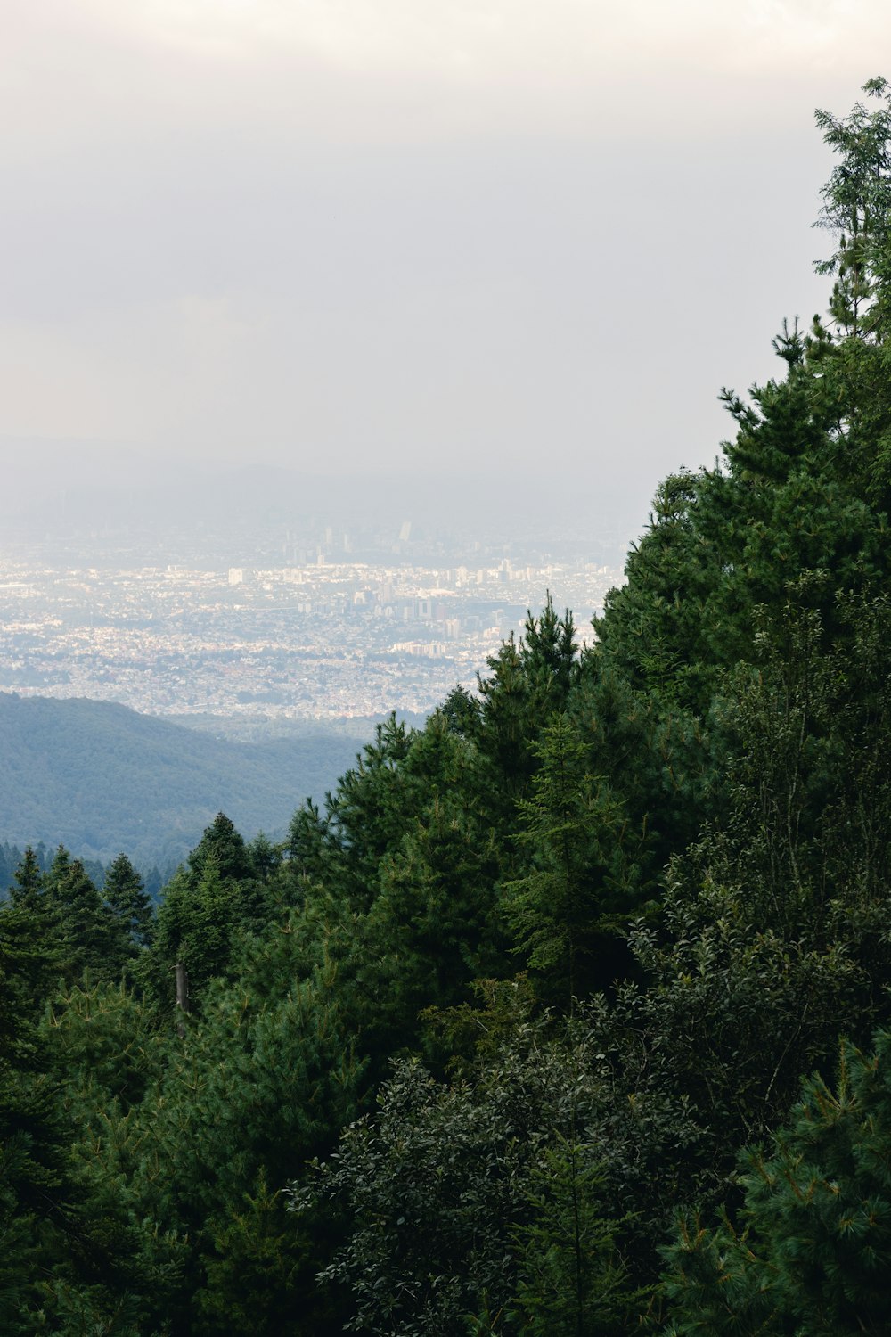 a view of the city from the top of a hill