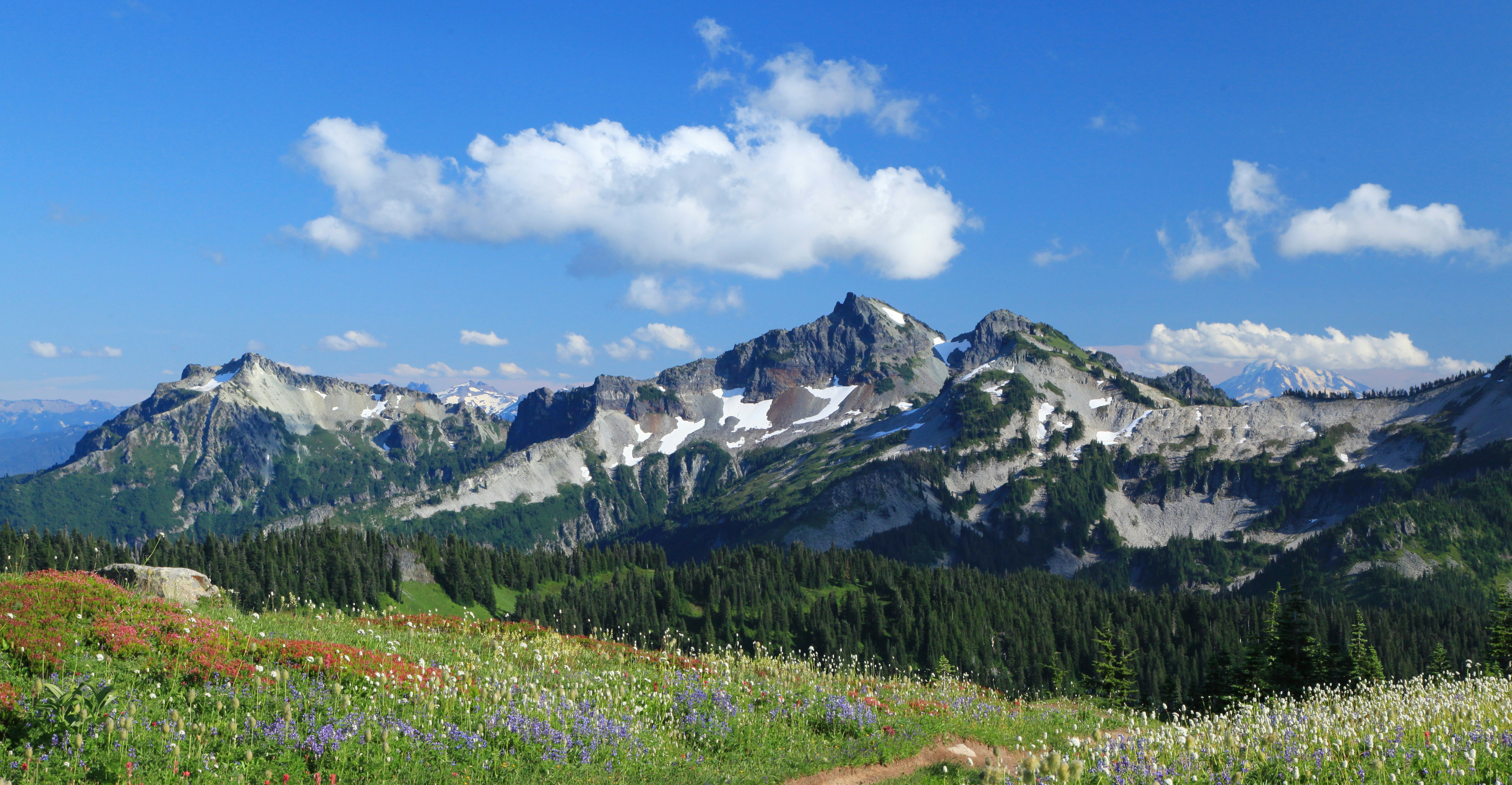 Photo by goldenplover31