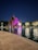 A large, abstract wooden sculpture is illuminated with vibrant pink lighting, positioned over a pool of water. The water reflects the lights, creating a mesmerizing visual effect. Surrounding the sculpture are well-lit trees and a clear night sky.