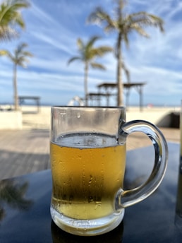 A chilled glass of beer beside a turtle habitat setup.