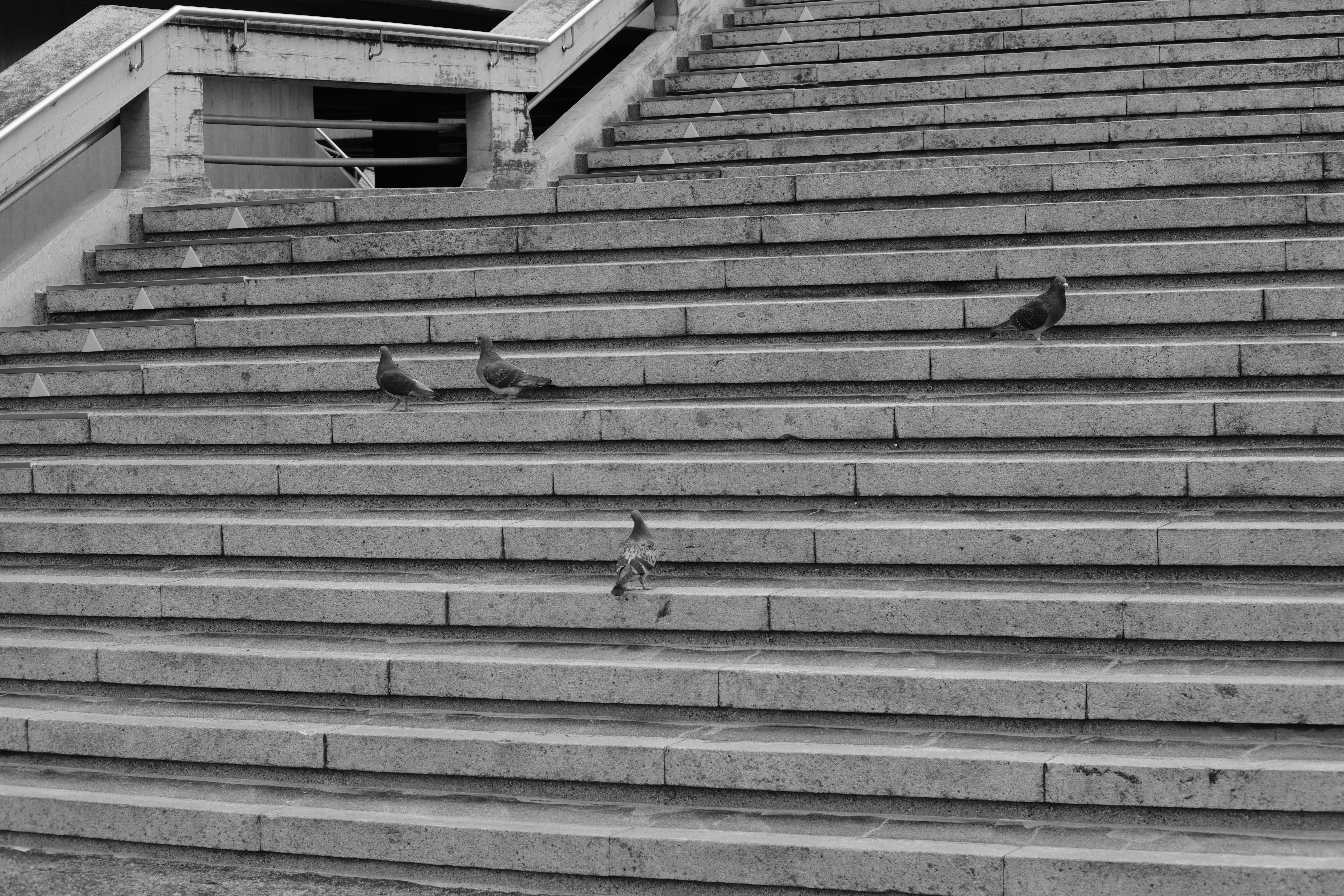 ation practice by focusing on the things you are thankful for - gratitude and the Law of Attraction