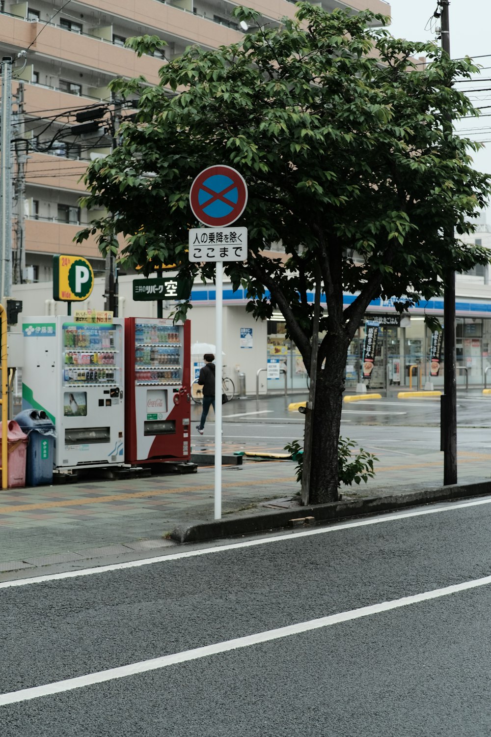 a tree on the side of a road next to a gas station