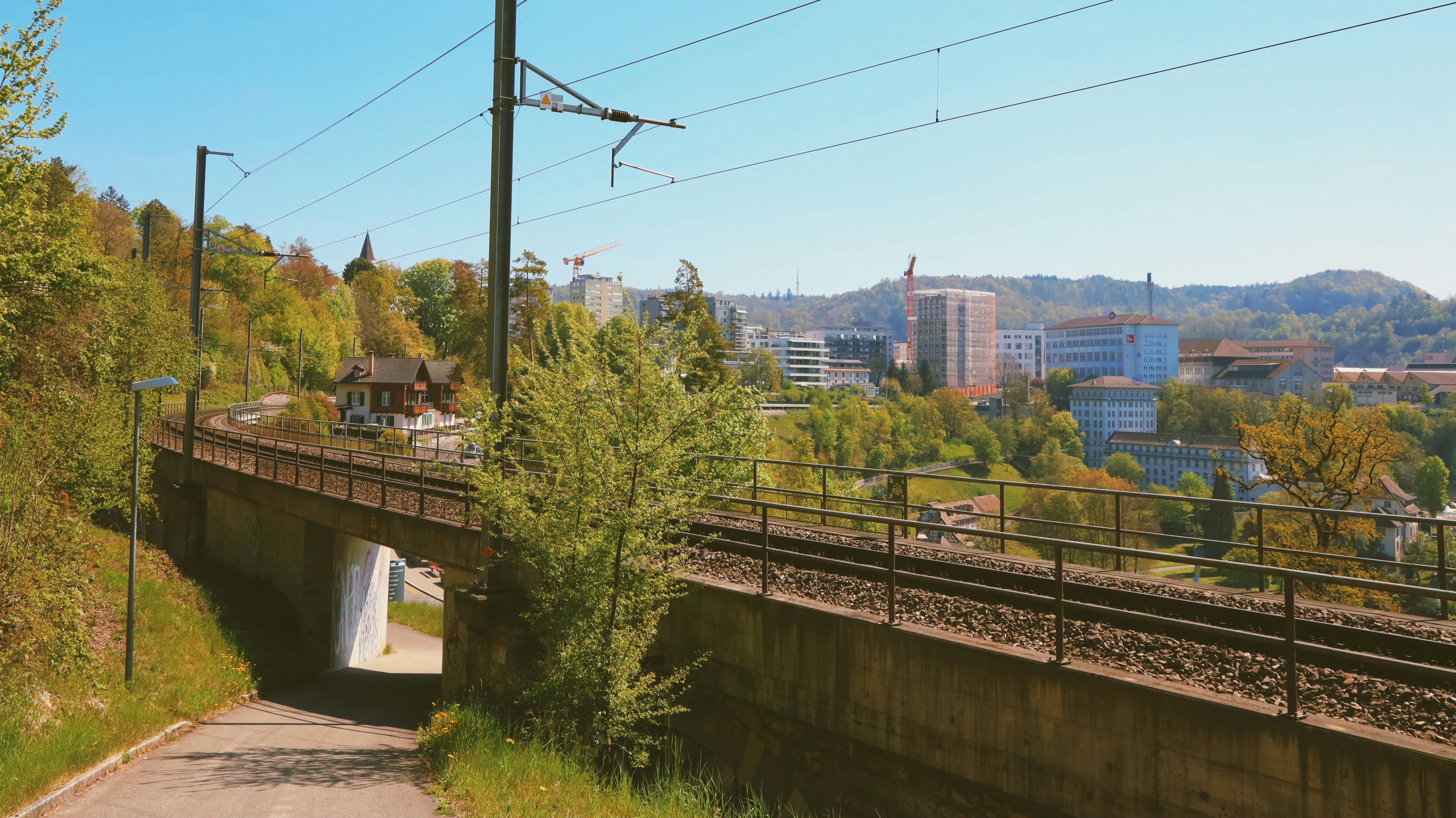 Un treno che viaggia su un ponte vicino a una lussureggiante foresta verde