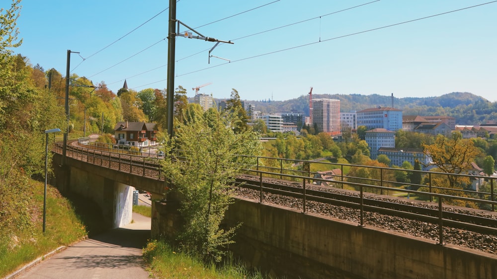 a train traveling over a bridge next to a lush green forest