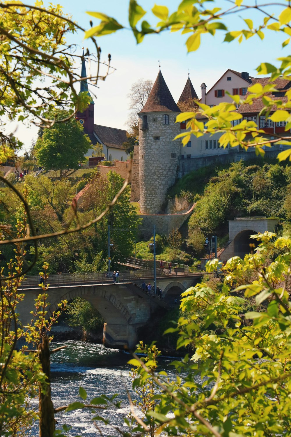 a bridge over a river with a castle in the background