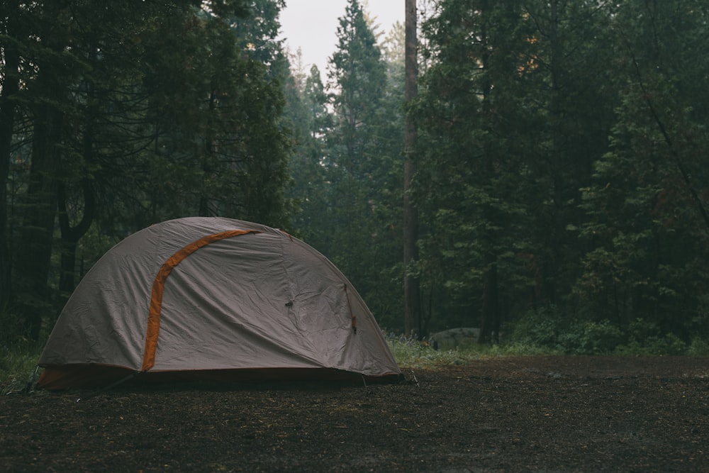 a tent pitched up in the middle of a forest