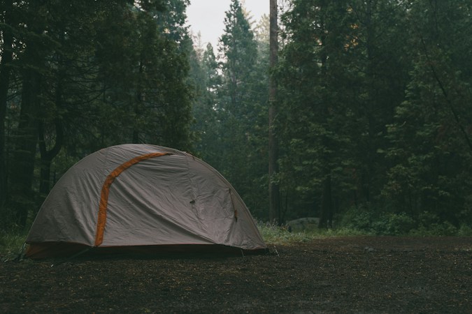 Gray dome tent with an orange pole sleeve pitched on bare ground in a dark, misty conifer forest