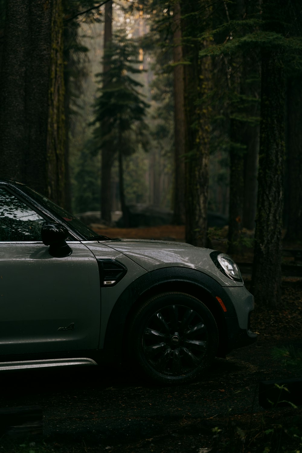 a car parked in the middle of a forest