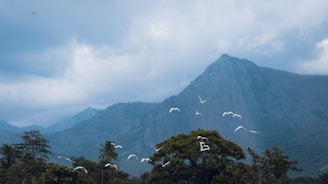 A serene mountain landscape with birds soaring above the peak.