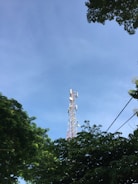 A tall communication tower rises above lush green trees under a clear blue sky. The tower is equipped with multiple antennas, indicating its function for broadcasting or telecommunications. The surrounding foliage frames the tower, adding a natural contrast to the metal structure.