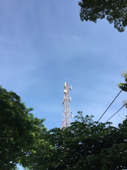 A tall communication tower rises above lush green trees under a clear blue sky. The tower is equipped with multiple antennas, indicating its function for broadcasting or telecommunications. The surrounding foliage frames the tower, adding a natural contrast to the metal structure.