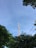 A tall communication tower rises above lush green trees under a clear blue sky. The tower is equipped with multiple antennas, indicating its function for broadcasting or telecommunications. The surrounding foliage frames the tower, adding a natural contrast to the metal structure.