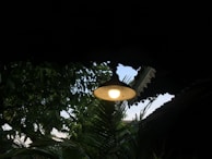A glowing lamp hangs in an outdoor setting surrounded by lush green foliage and trees. The background shows a bright sky peeking through the leaves, creating a contrast with the darker areas of the image. The light from the lamp casts a warm glow over the immediate surroundings.