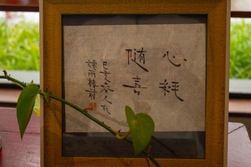 A framed piece of calligraphy with Chinese characters is displayed on a wooden surface. A leafy green plant extends across the bottom left corner. Natural light from outside illuminates the scene, highlighting the textures of the paper and the rich wood tones of the frame.