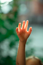 A warm scene of a community member reaching out with an open hand in front of a bright, welcoming library setting.