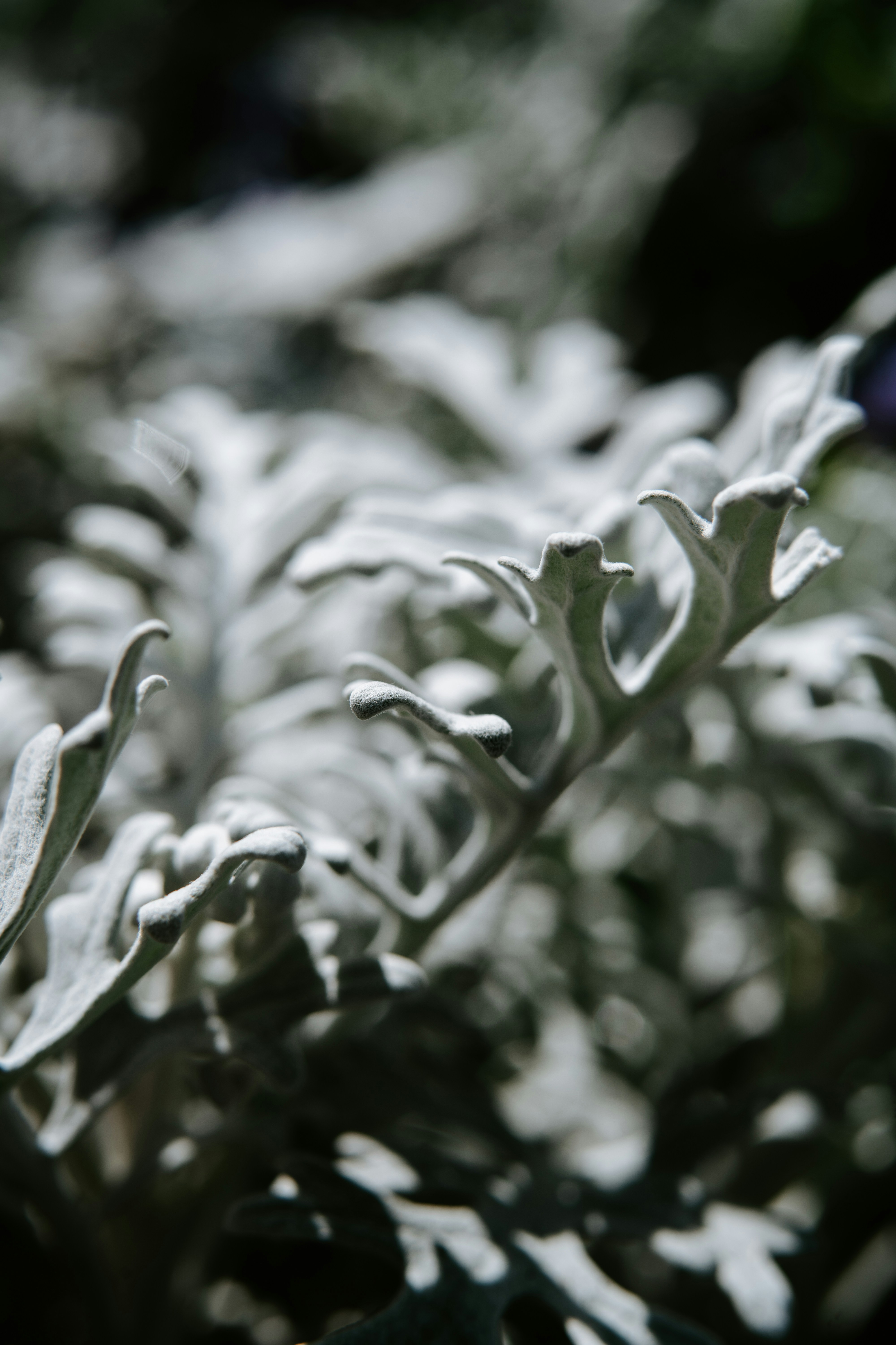 Photo by anamnesis33