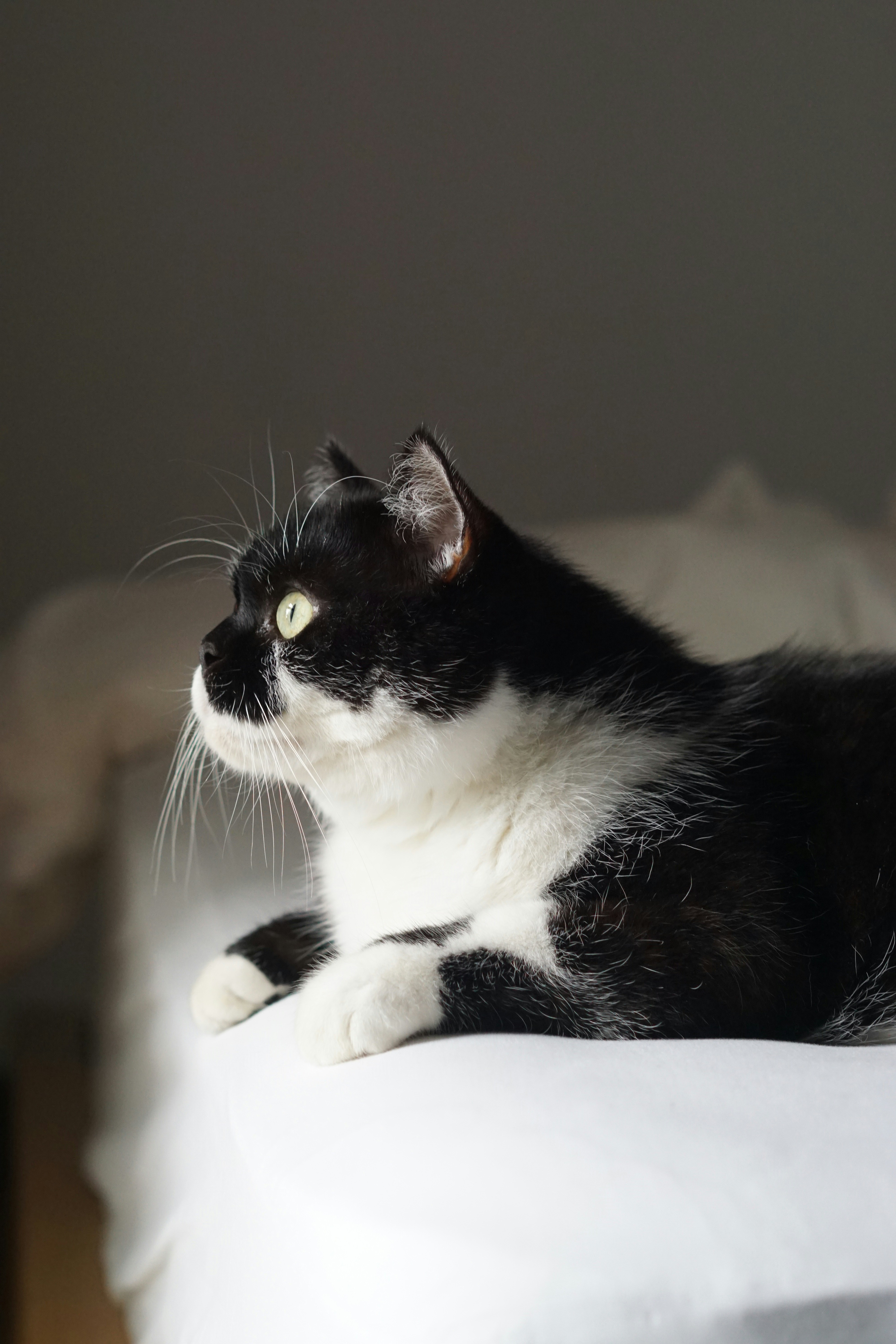 Photo by diadesigner