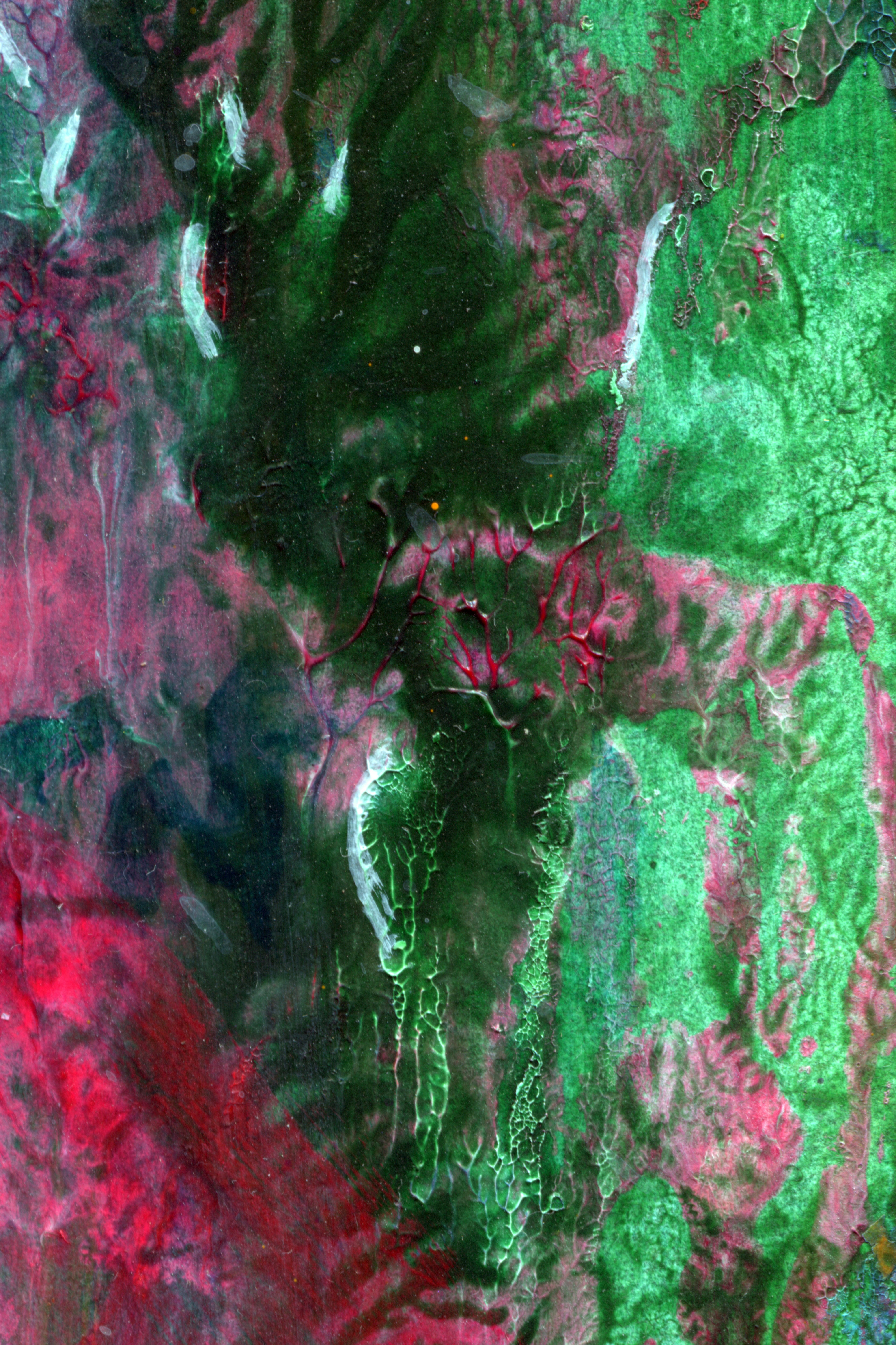 Photo by sensoryarthouse