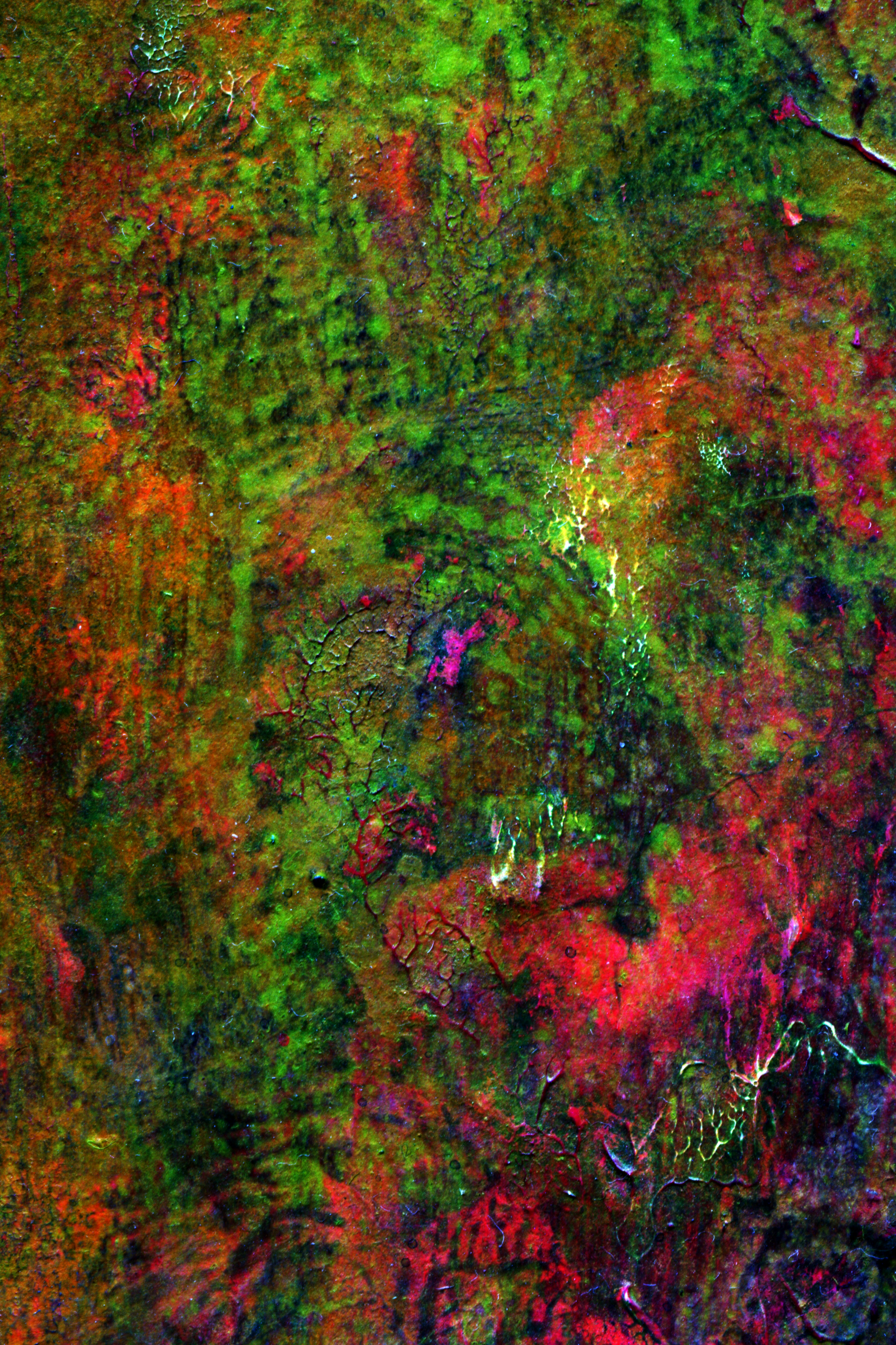 Photo by sensoryarthouse