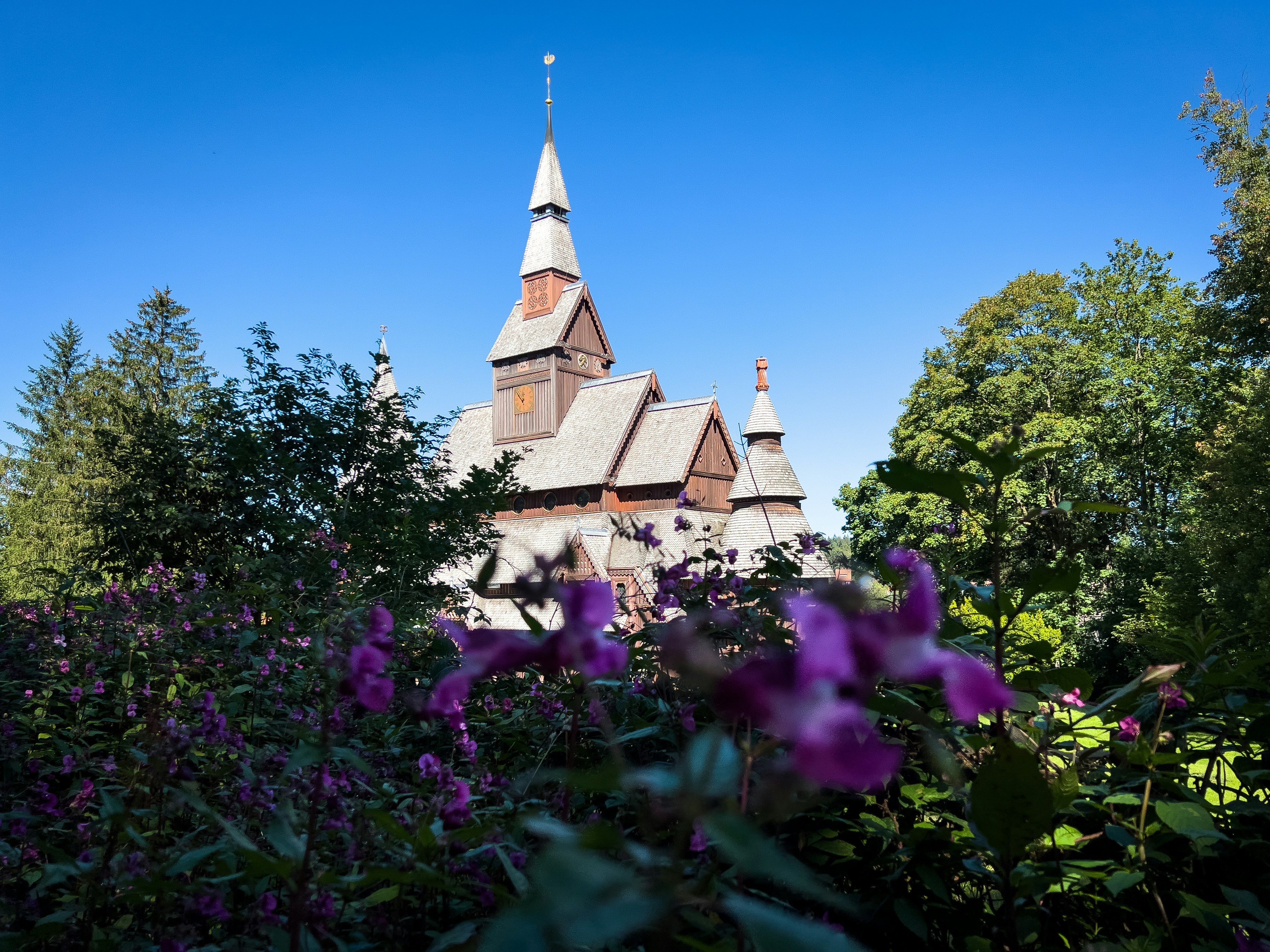 Un edificio con un campanile circondato da fiori viola