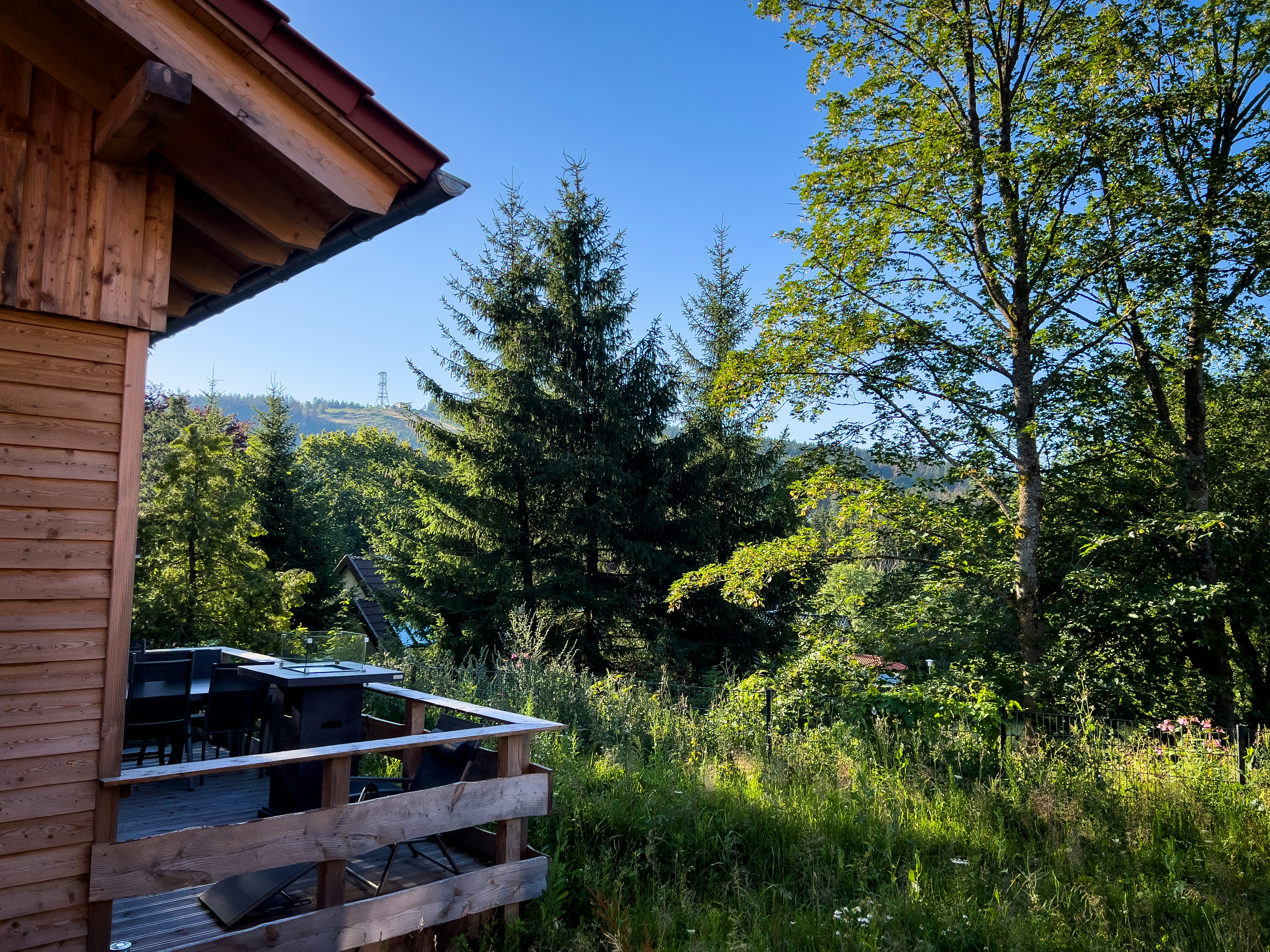 una vista di un'area boschiva da una cabina